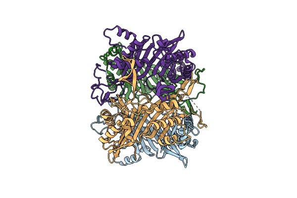 4R8X image