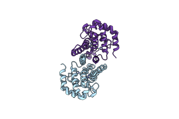 4R8Z image