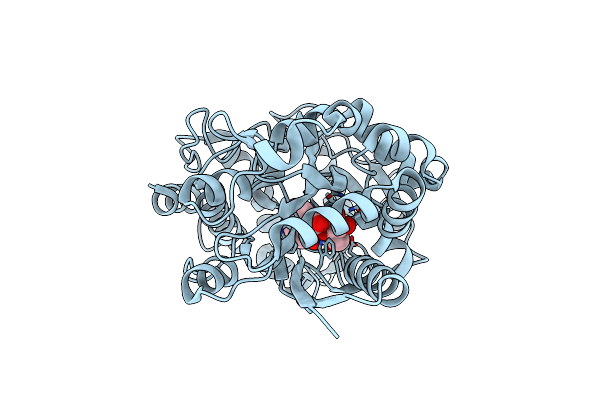 4R9F image