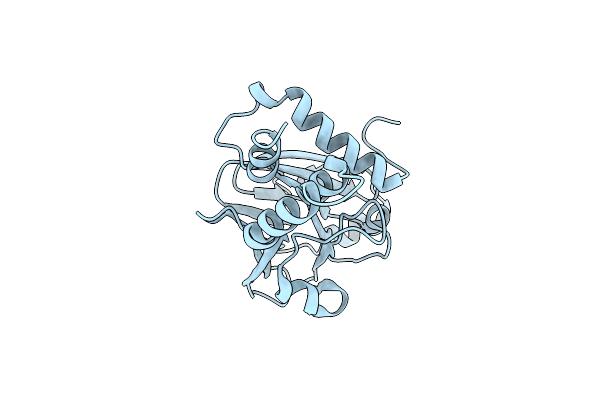 4R9P image