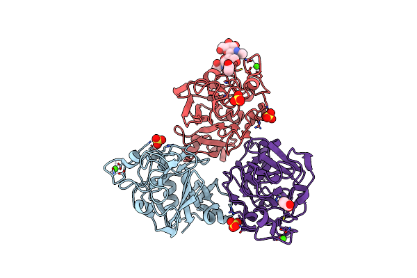 4R9T image