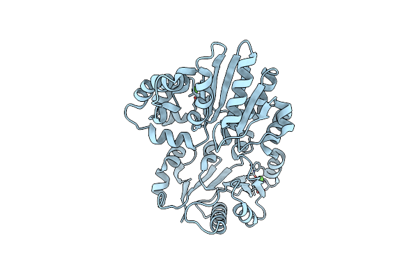 4R9V image