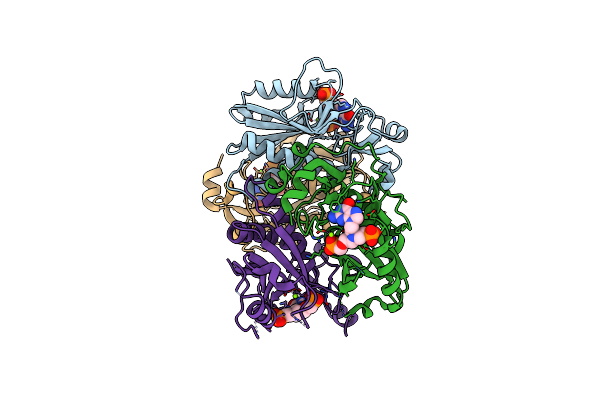 4RAC image