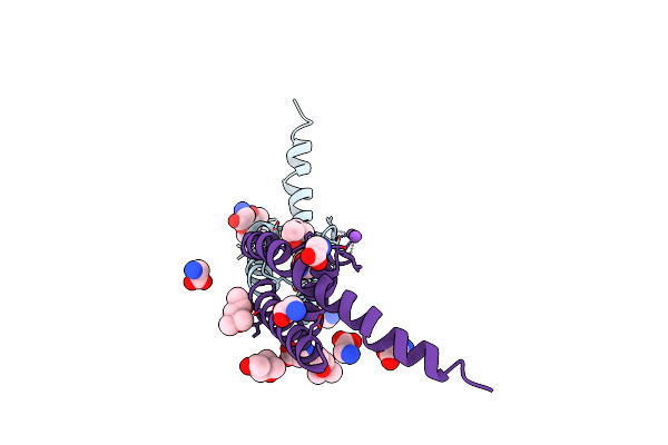4RAI image