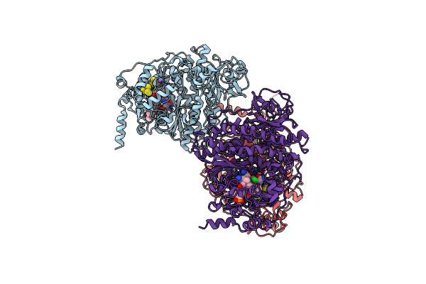 4RAS image