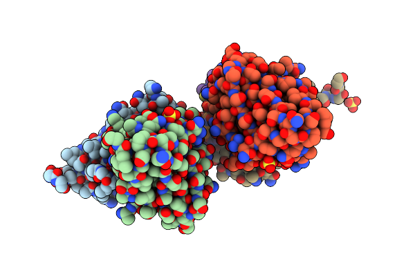 4RAV image