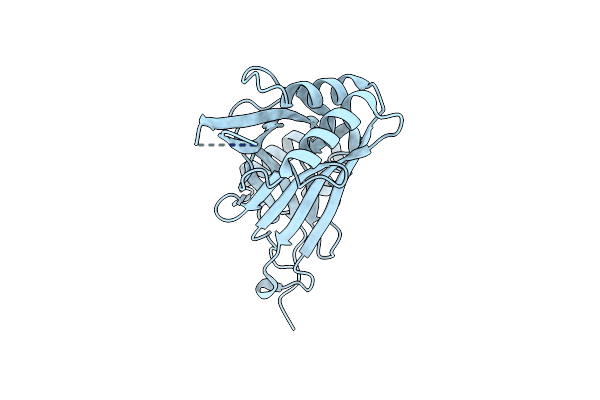 4RAX image