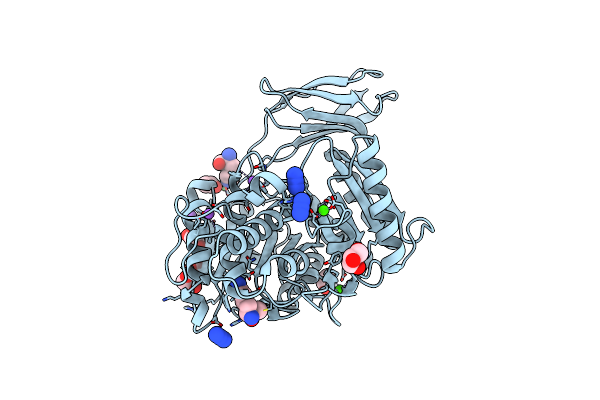 4RBM image