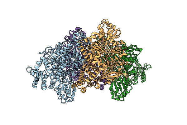 4RBN image