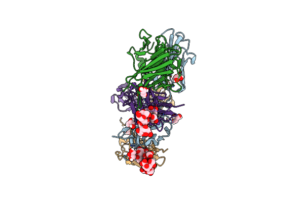 4RBP image