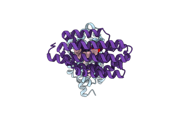 4RC5 image