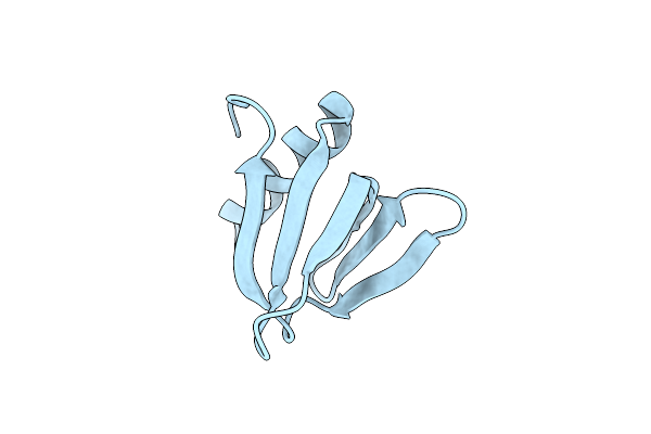 4RCC image