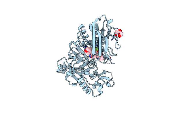 4RCF image