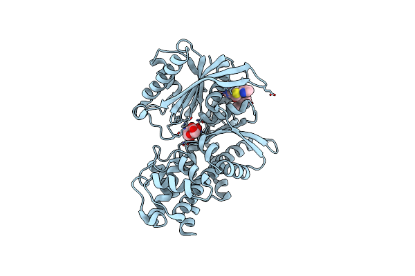 4RCH image