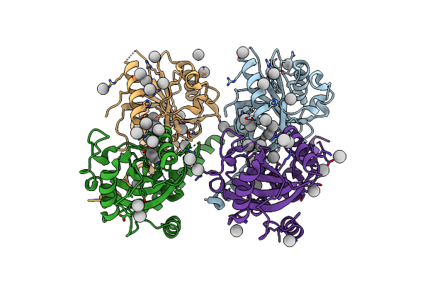 4RCI image