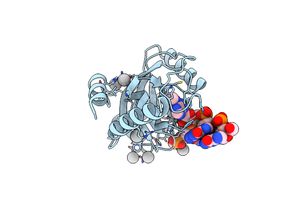 4RCJ image