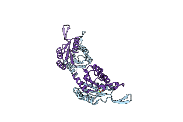 4RCK image