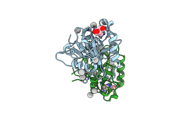 4RCM image