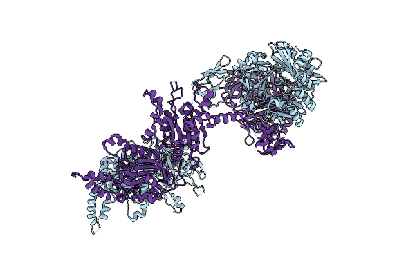 4RCN image