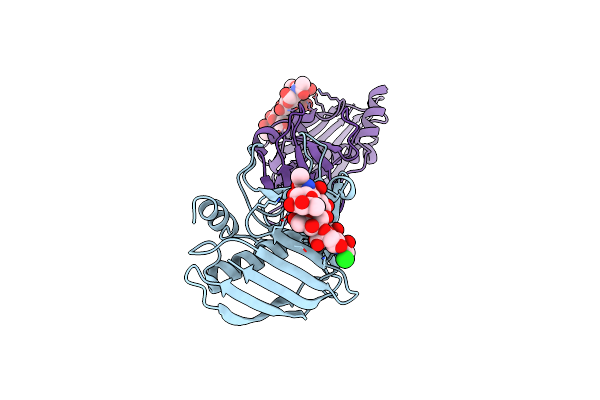 4RCO image
