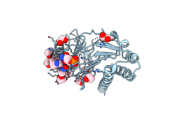 4RCP image