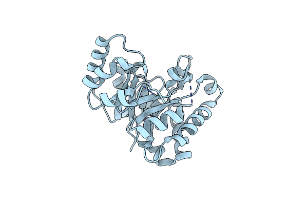 4RCX image
