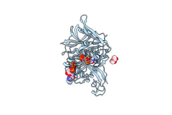 4RD2 image