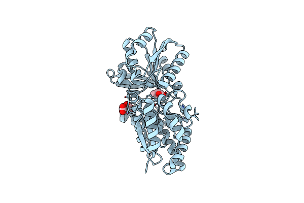 4RDC image