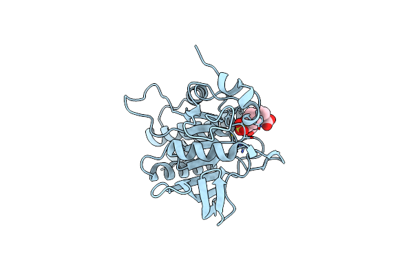 4RDD image