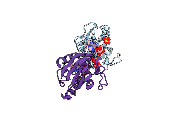 4RDN image