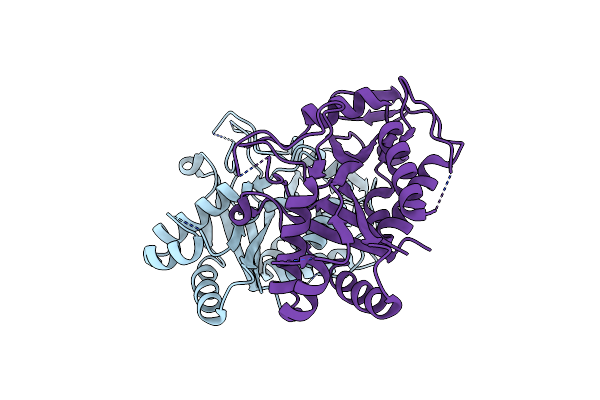 4RDP image