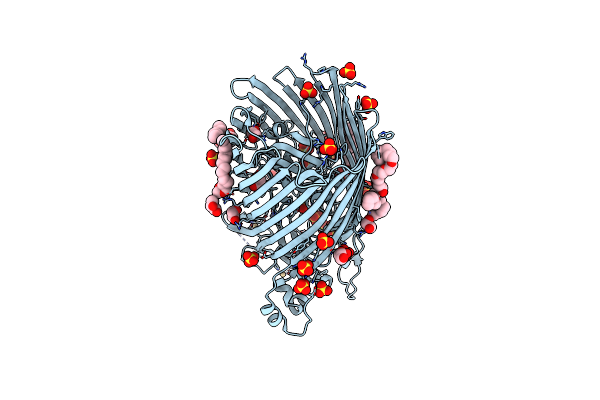 4RDR image