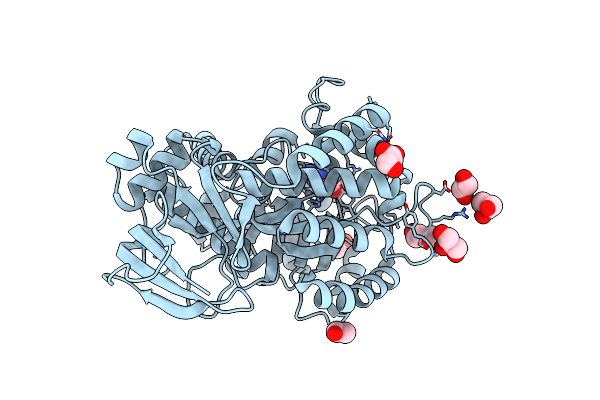 4RDW image