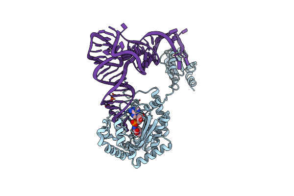 4RDX image