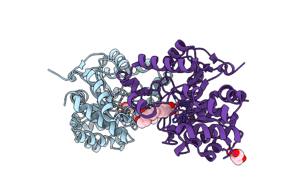 4RDZ image
