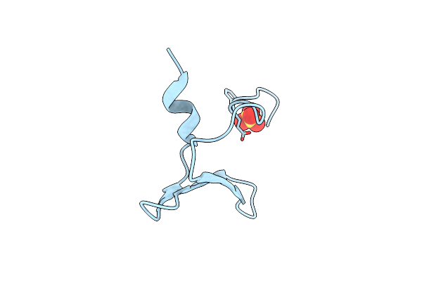 4REX image
