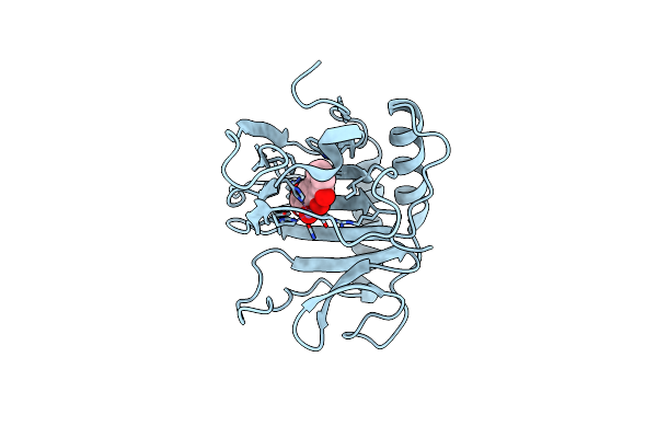4RFR image