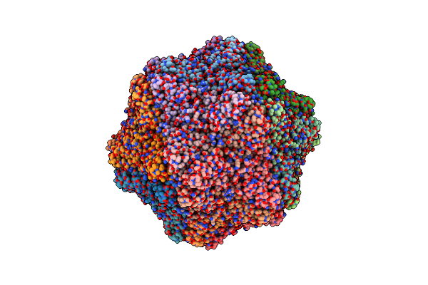 4RFT image