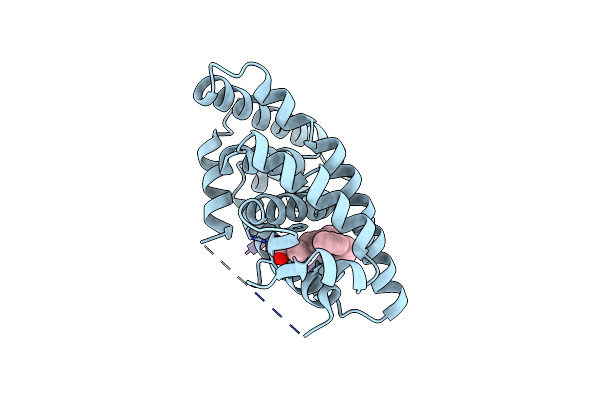 4RFW image