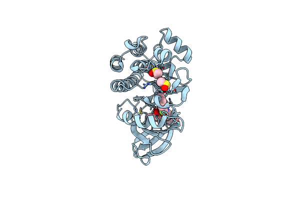 4RFZ image