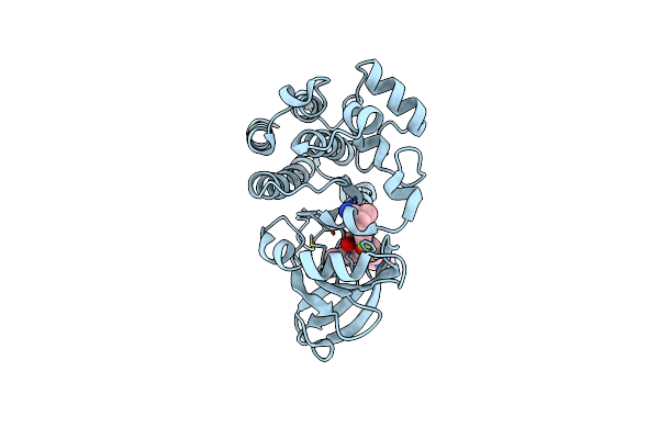 4RG0 image