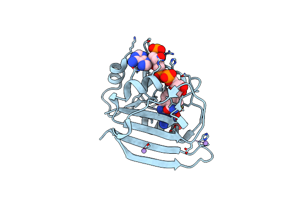 4RGC image