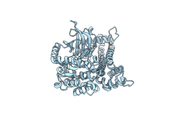 4RGJ image