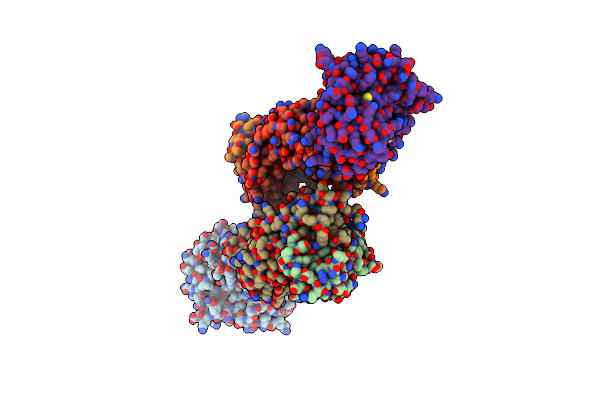 4RGM image