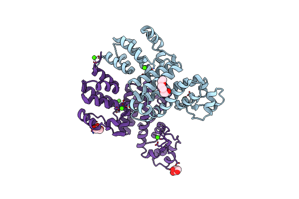 4RGP image