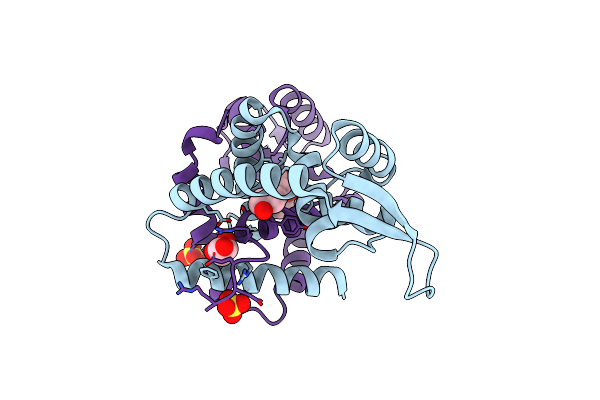 4RGR image