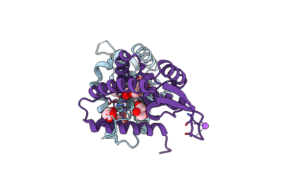 4RGU image