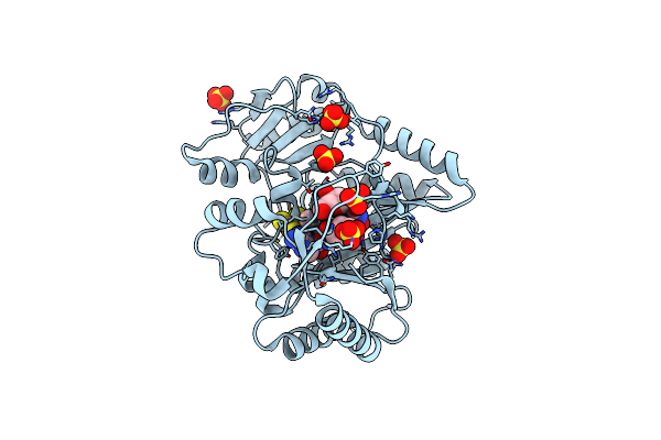 4RH1 image