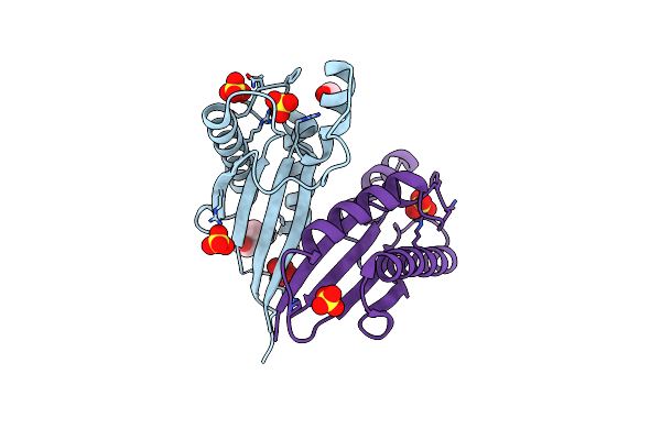 4RHA image