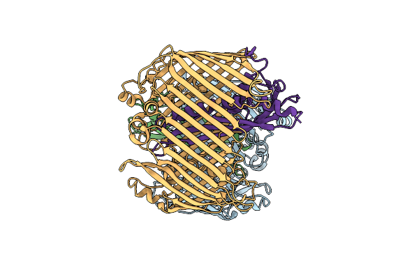 4RHB image
